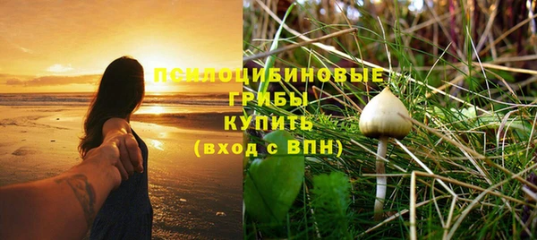 mix Дмитров